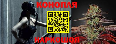 jwh Шебекино