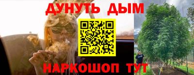 jwh Шебекино