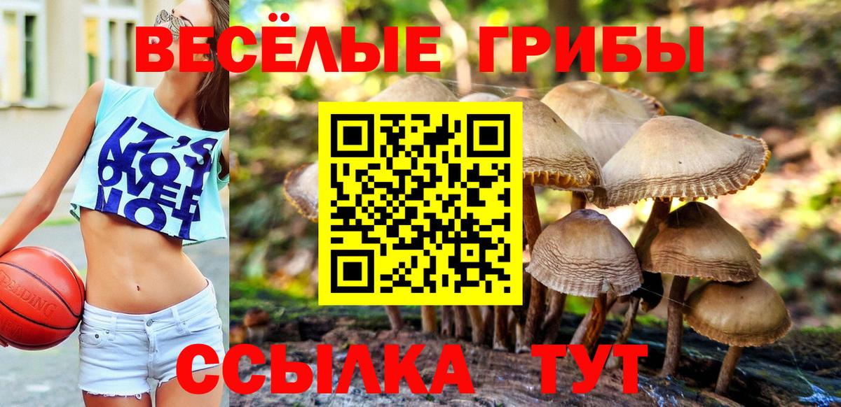 Галлюциногенные грибы мухоморы Великие Луки